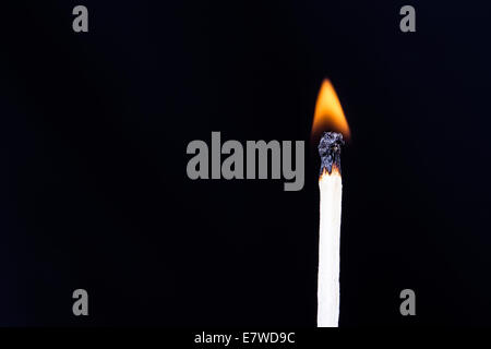 Single match burning on dark background. Stock Photo