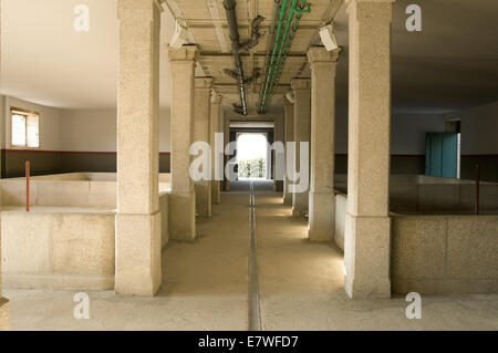 Quinta da Pacheca, Douro Region, Portugal Stock Photo