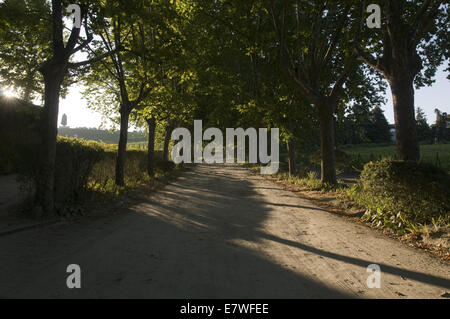 Quinta da Pacheca, Douro Region, Portugal Stock Photo