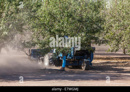 Almond Rakes An almond harvesting machine that sweeps all the almonds into the ...