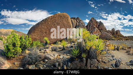 Huge granite rocks of Split Rocks and green Mojave Yucca or Spanish Dagger (Yucca schidigera), Joshua Tree National Park Stock Photo