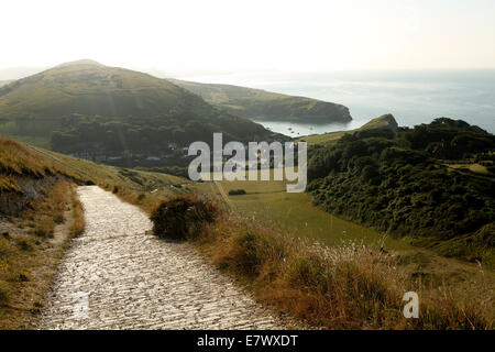 View from the top of the coastal cliff looking down on Lulworth Cove, Dorset Stock Photo