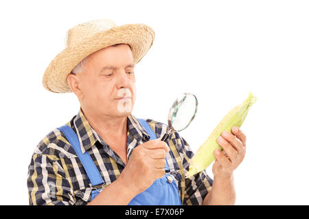 Mature farmer examining maize through a magnifier isolated on white background Stock Photo