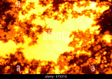 Vivid abstract orange and brown pattern, shape, background Stock Photo