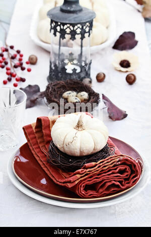 Beautiful table set with white pumpkins and natural items ready for an autumn meal. Stock Photo