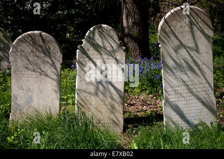 gravestones old cemetery southampton common hampshire england Stock Photo