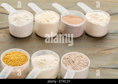 measuring scoops of gluten free flours - almond, coconut, teff, flaxseed meal, whole rice, brown rice, buckwheat Stock Photo