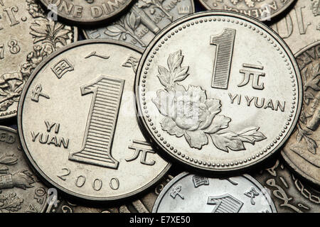 Coins of China. Peony flower depicted in the Chinese one Yuan coin. Stock Photo