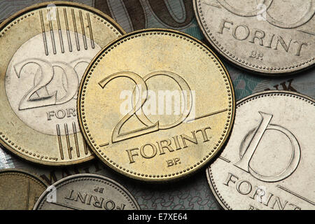 Coins of Hungary. Hungarian twenty forint coin. Stock Photo