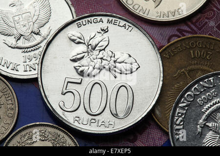 Coins of Indonesia. Jasmine flower depicted in the Indonesian 500 rupiah coin. Stock Photo