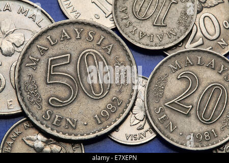 Coins of Malaysia. Malaysian sen coins. Stock Photo