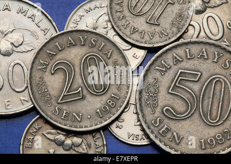 Coins of Malaysia. Malaysian sen coins. Stock Photo