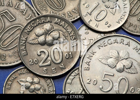 Coins of Malaysia. Malaysian sen coins. Stock Photo