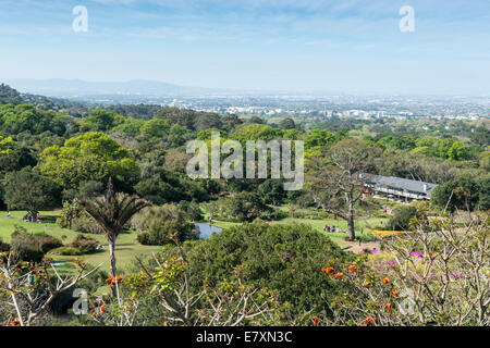 View from the Centenary Tree Canopy Walkway in Kirstenbosch Botanical garden, Cape Town, South Africa Stock Photo