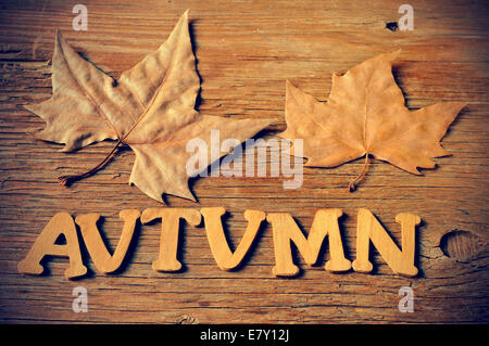 wooden letters forming the word autumn and some autumn leaves on a weathered wooden background Stock Photo