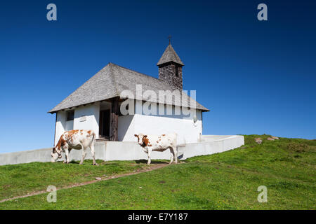 On a pasture near the chapel in Titol Alps, Austria Stock Photo
