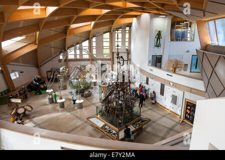 Interior of The Core at the Eden Project. Cornwall UK. Stock Photo