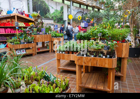 Interior of The Eden Project Shop (ethical gift, plant and souvenir shop) at the Eden Project. Bodelva Saint Austell Cornwall UK Stock Photo