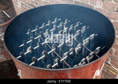 Traditional way of smoking mackerels in a barrel Stock Photo