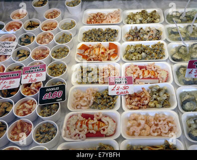 Various seafood displayed at a fishmongers. Stock Photo