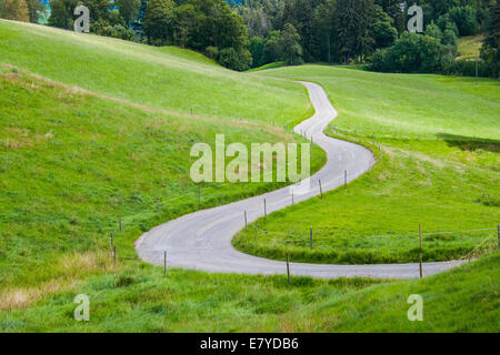 idyllic road between green fields in the mountains Stock Photo