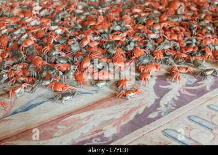 Woodstock, Oxfordshire, UK, Friday 26th September 2014 Preview of Ai Weiwei at Blenheim Palace, Blenheim Art Foundation's inaugural exhibition, opening to the public on 1st October 2014 He Xie porcelain crabs © Nikreates/Alamy Stock Photo