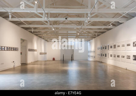 Woodstock, Oxfordshire, UK, Friday 26th September 2014 Preview of Ai Weiwei at Blenheim Palace, Blenheim Art Foundation's inaugural exhibition, opening to the public on 1st October 2014 New York Photographs 1983 to 1993  © Nikreates/Alamy Stock Photo