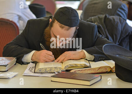 An orthodox rabbi studying Jewish law in a synagogue in Crown Heights, Brooklyn, New York Stock Photo