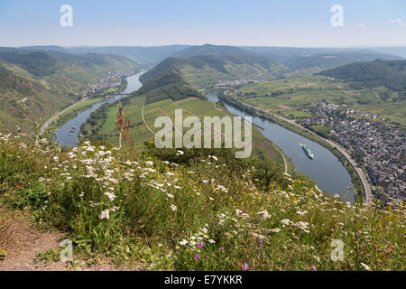 River Moselle near Zell and Punderich in Germany Stock Photo