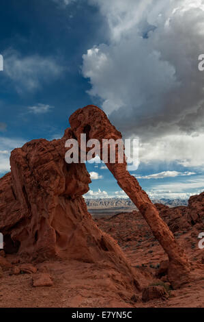 An arch formation known as Elephant Rock located in Valley of Fire State Park, Nevada. Stock Photo