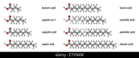 Saturated fatty acids: butyric, caproic, caprylic, capric, lauric, myristic, palmitic and stearic acid. Stylized 2D renderings. Stock Photo