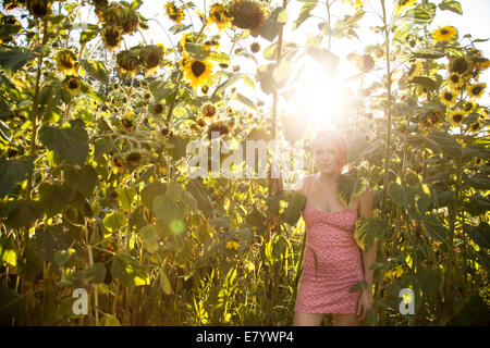 Young woman in mini dress on sunflower field Stock Photo