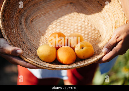 Woman holding basket with peaches