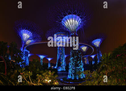 Blue lights of the futuristic Supertrees in the Supertree Grove at the Gardens by the Bay in Singapore, Republic of Singapore Stock Photo