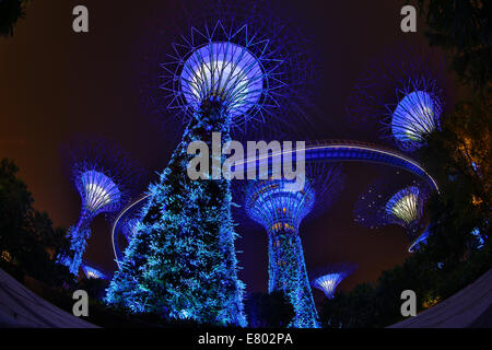Blue lights of the futuristic Supertrees in the Supertree Grove at the Gardens by the Bay in Singapore, Republic of Singapore Stock Photo