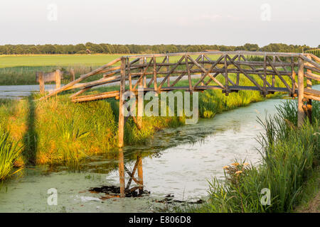 Old wood bridge over quiet stream in Netherlands Stock Photo