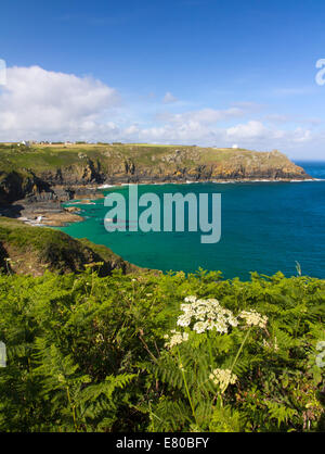 Coastline at The Lizard, Cornwall, England Stock Photo