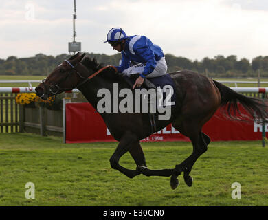 Newmarket, UK. 27th Sep, 2014. Betfred Cambridgeshire Day. Taqneyya under Paul Hanagan winning the Racing UK Maiden Fillies&#xb4; Stakes (Div 1) Credit:  Action Plus Sports/Alamy Live News Stock Photo