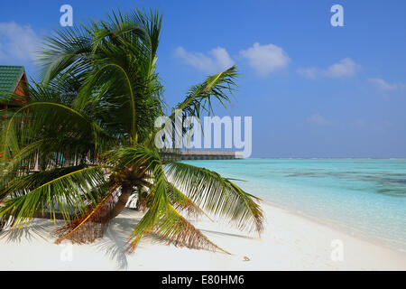 Maldives , Meeru island Stock Photo