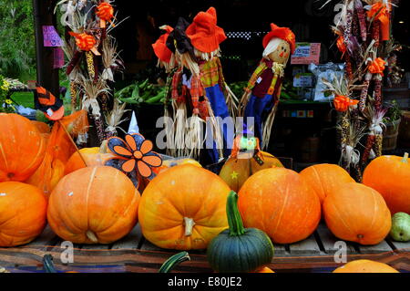 Deerfield, Massachusetts:  A seasonal display of pumpkins, Indian corn, and scarecrow decorations at a roadside farm stand Stock Photo