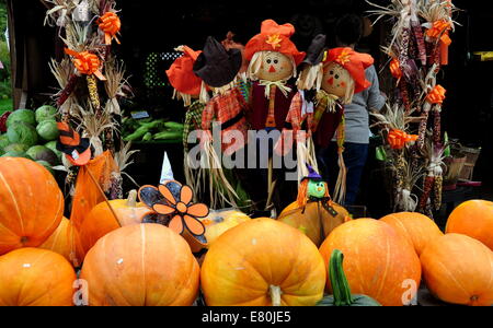 Deerfield, Massachusetts:   A seasonal display of pumpkins, Indian corn, and scarecrow decorations at a roadside farm stand Stock Photo