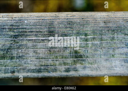 Old wood texture for web background Stock Photo