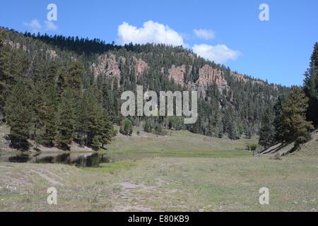 pond in narrow canyon of Jemez Mountains of New Mexico - USA Stock Photo