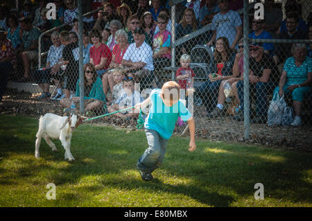 Falmouth, Pennsylvania, USA.  Running of the goats, held annually at the Governor Stables Park, Falmouth, PA Stock Photo