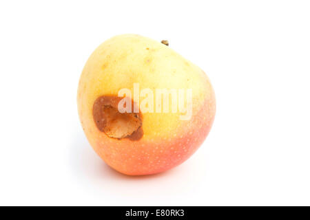 ripe apple bited by insect on white Stock Photo