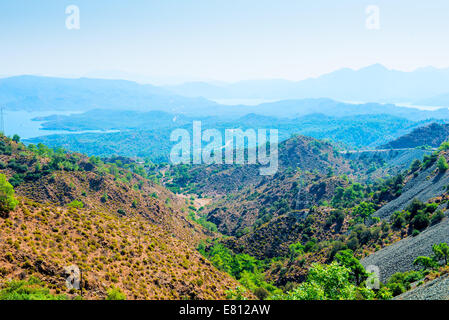panorama of the beautiful valley with coniferous forests Stock Photo