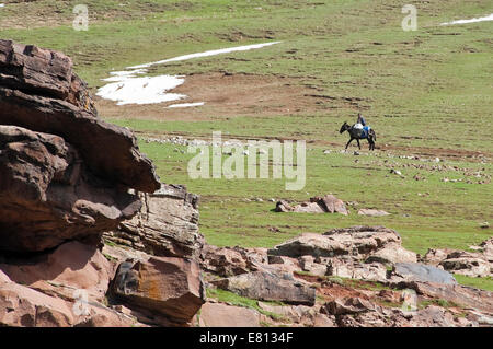 Horizontal view of a person on a donkey on a mountain track in the High Atlas Mountain range in Morocco. Stock Photo