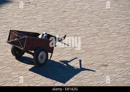 Horizontal aerial view of a porter sleeping inside his cart in Place Jemaa el-Fnaa in Marrakech. Stock Photo