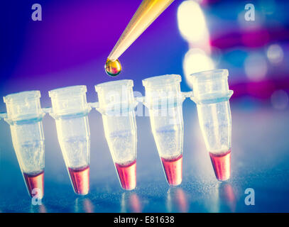 reprogenetics research in the laboratory, test tubes and pipette Stock Photo