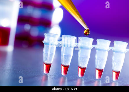 reprogenetics research in the laboratory, test tubes and pipette Stock Photo